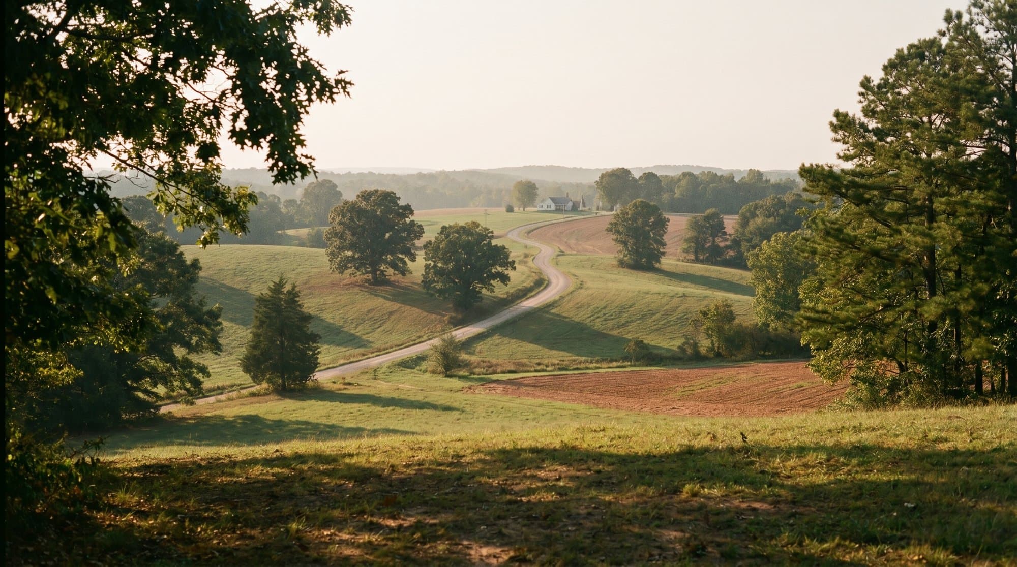 Rolling green hills of the North Carolina Piedmont in late afternoon light, with mature oak trees and a small farmhouse at the horizon